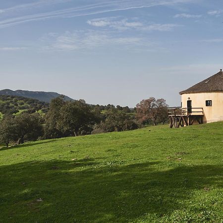 Alojamiento Turistico- Agroturismo Dehesa La Pared Chillon Εξωτερικό φωτογραφία